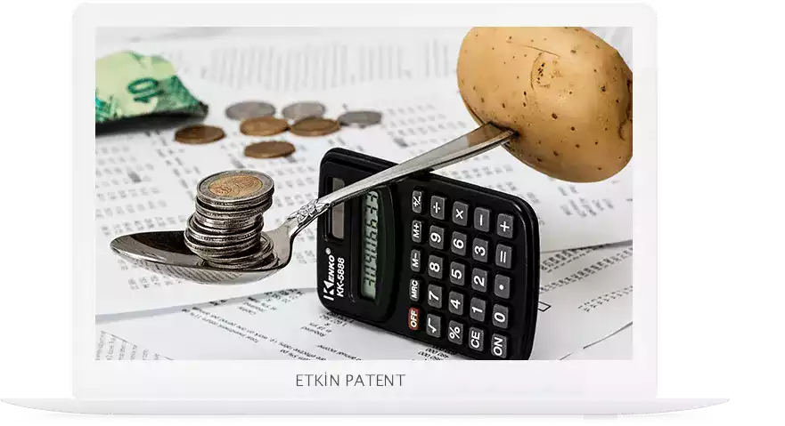 finansal davranışlara dair kombinasyon modeller-Tekirdağ Patent